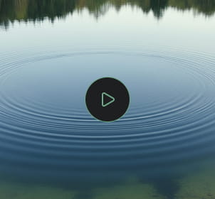 Guided Meditation